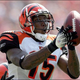 Illustration for article titled Bengals WR Chris Henry Dies After Falling Out Of Pickup Bed